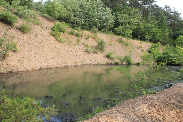 Cost of Pond Erosion Repair in Poughkeepsie